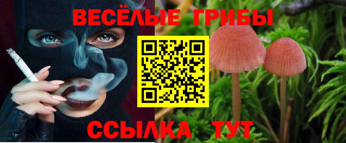 Узловая  где можно купить наркотик  Вход с VPN  Псилоцибиновые грибы MAGIC MUSHROOMS 